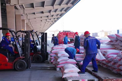長三角首單糧油類物流總包列車在錫發車 年內運輸總量達2.5萬噸